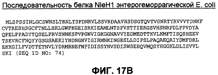 Бактериальные факторы вирулентности и варианты их применения (патент 2465331)