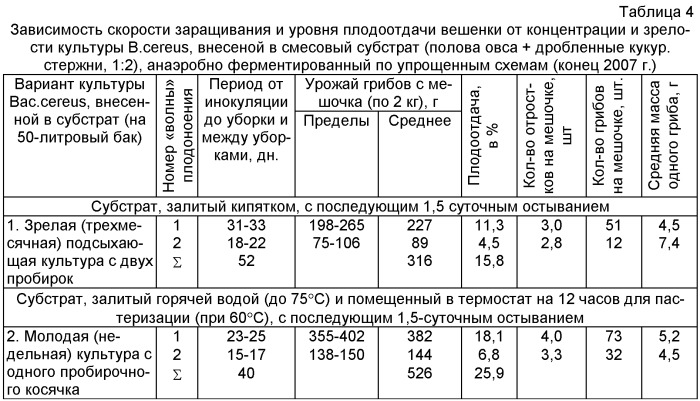 Способ бациллярной термоанаэробной подготовки качественного соломистого субстрата для интенсивного нестерильного культивирования вешенки обыкновенной (патент 2409019)