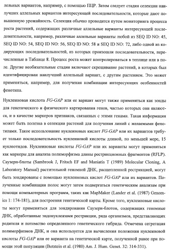 Растения, имеющие улучшенные характеристики роста, и способы их получения (патент 2463352)