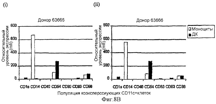 Генерирование дендритных клеток из моноцитарных предшественников дендритных клеток с помощью gm-csf в отсутствие дополнительных цитокинов (патент 2364625)