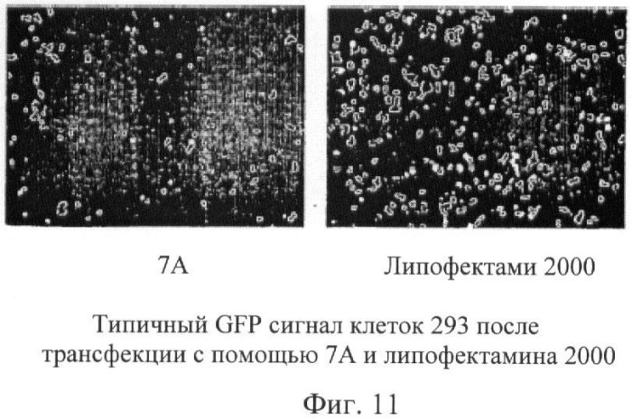 Биодеградируемые катионные полимеры (патент 2440380)