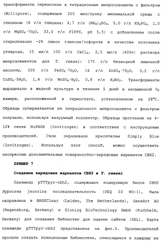 Композиции и способы, включающие варианты целлюлазы со сниженным сродством к нецеллюлозным материалам (патент 2486242)