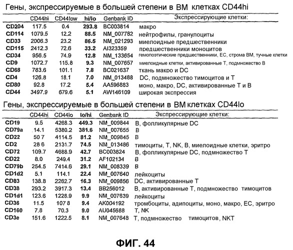 Изолированные популяции миелоидоподобных клеток костного мозга и способы лечения с ними (патент 2418856)