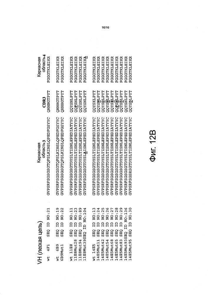 Антитела, которые связывают интегрин альфа-v бета-8 (патент 2614252)