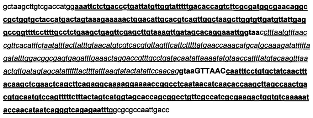 Изопропилмалат синтаза из nicotiana tabacum и способы и ее применение (патент 2644238)