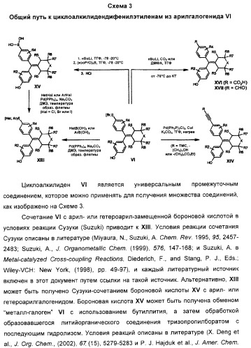 Циклоалкилиденовые соединения, фармацевтическая композиция на их основе, их применение и способ селективного связывания er - и er -эстрогеновых рецепторов (патент 2345981)