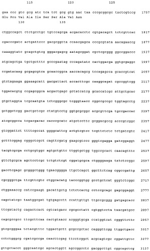 Нитрилгидратаза из rhodococcus (патент 2385932)