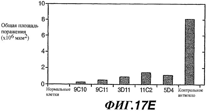 Способы и композиции для модуляции и обнаружения активности wisp (патент 2412201)