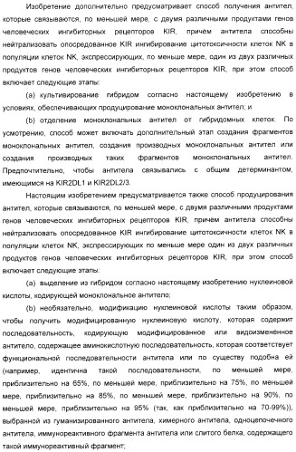 Антитела, связывающиеся с рецепторами kir2dl1,-2,-3 и не связывающиеся с рецептором kir2ds4, и их терапевтическое применение (патент 2410396)