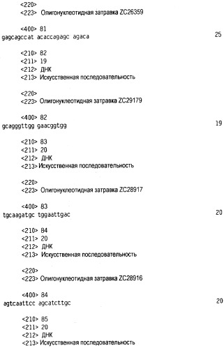 Новый лиганд рецептора цитокина zcytor17 (патент 2490276)