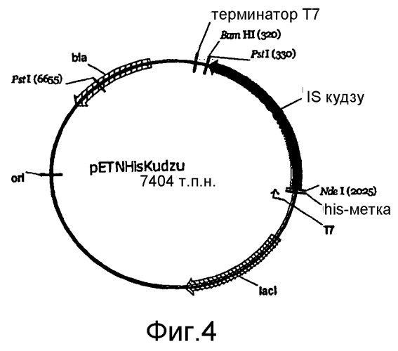 Полимеры изопрена из возобновляемых источников (патент 2505605)