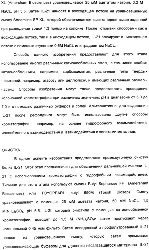 Продуцирование il-21 в прокариотических клетках-хозяевах (патент 2354703)