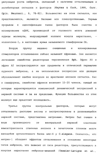 Поликлональное антитело против nogo, фармацевтическая композиция и применение антитела для изготовления лекарственного средства (патент 2432364)