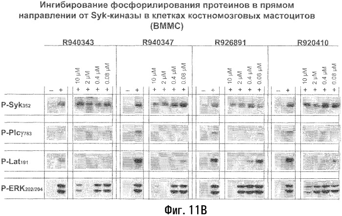 Способы лечения или профилактики аутоиммунных заболеваний с помощью соединений 2,4-пиримидиндиамина (патент 2376992)