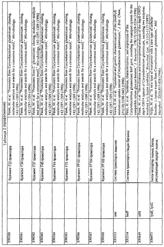 Гены corynebacterium glutamicum, кодирующие белки резистентности и толерантности к стрессам (патент 2303635)