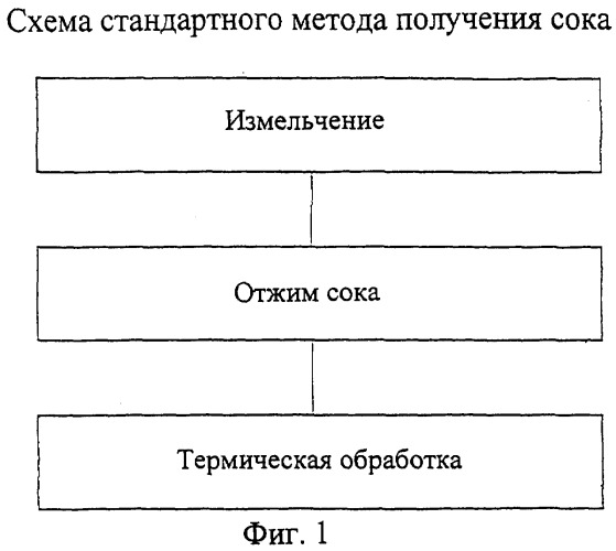 Способ получения фруктовых и овощных соков (патент 2264138)