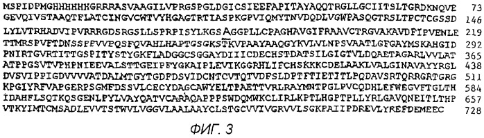Определение комплекса hcv-антиген/антитело (патент 2274863)