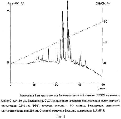 Пептиды, проявляющие антимикробную активность (патент 2302425)