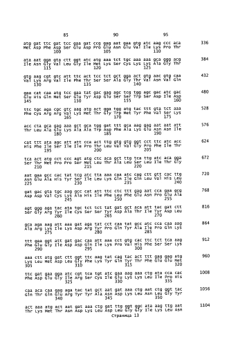 Способ получения лилий, содержащих в лепестках делфинидин (патент 2590722)