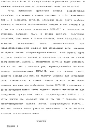 Scfv против egfrviii с улучшенной цитотоксичностью и выходом, иммунотоксины на их основе и способы их применения (патент 2317999)