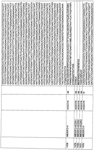 Pscaxcd3, cd19xcd3, c-metxcd3, эндосиалинxcd3, epcamxcd3, igf-1rxcd3 или fap-альфаxcd3 биспецифическое одноцепочечное антитело с межвидовой специфичностью (патент 2547600)