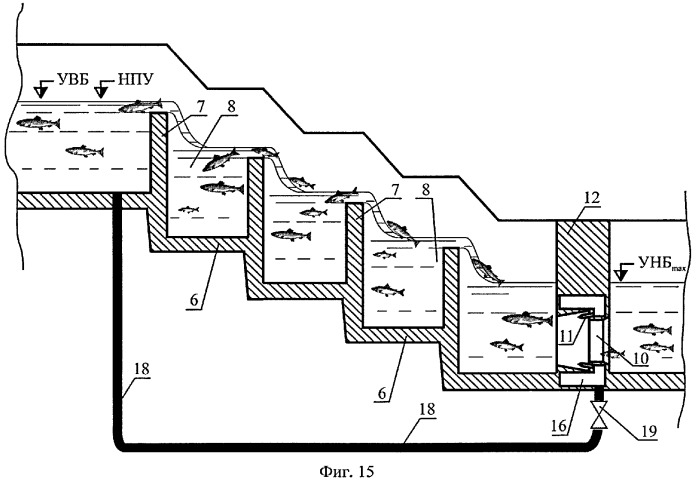Способ пропуска рыб через рыбоход из нижнего бьефа гидроузла в верхний бьеф (варианты) (патент 2377365)