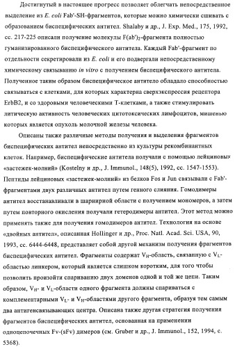 Композиции и способы диагностики и лечения опухоли (патент 2430112)