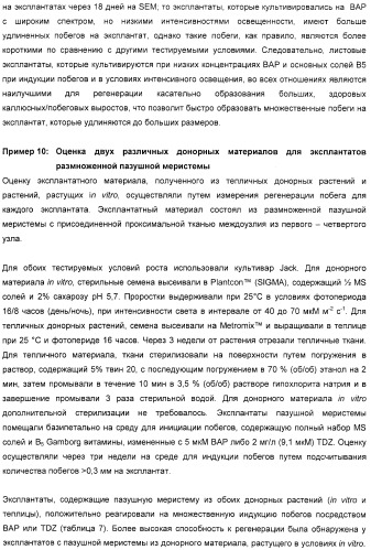 Улучшенная трансформация сои (патент 2389797)