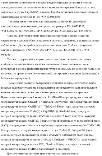 Новые инсектициды (патент 2369603)