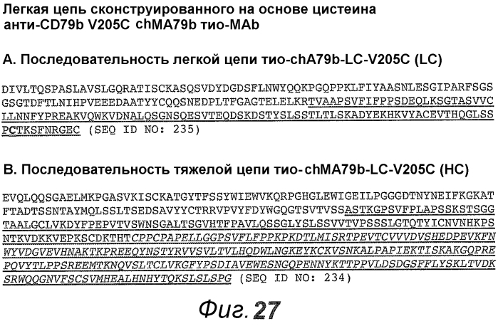 Анти-cd79b антитела и иммуноконъюгаты и способы их применения (патент 2553566)