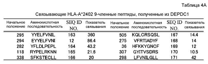 Пептидные вакцины против рака с экспрессией полипептидов mphosph1 или depdc1 (патент 2469044)