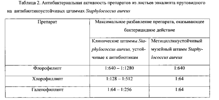 Способ получения антибактериального препарата из листьев эвкалипта прутовидного (патент 2572231)