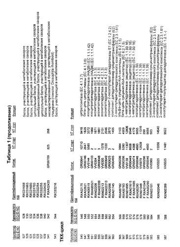 Гены corynebacterium glutamicum, кодирующие белки, участвующие в метаболизме углерода и продуцировании энергии (патент 2321634)