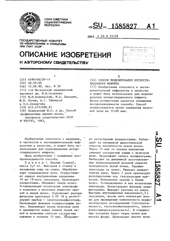 Способ моделирования интерстициального нефрита (патент 1585827)