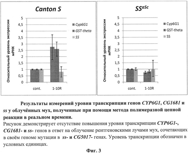 Способ оценки фармакологических и токсикологических свойств веществ - радио-, токсикопротекторов и радио-, токсикосенсибилизаторов (патент 2534822)