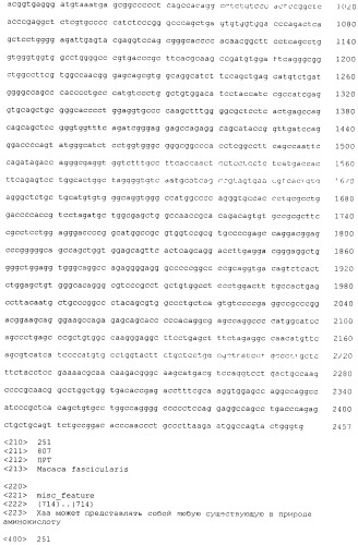 Pscaxcd3, cd19xcd3, c-metxcd3, эндосиалинxcd3, epcamxcd3, igf-1rxcd3 или fap-альфаxcd3 биспецифическое одноцепочечное антитело с межвидовой специфичностью (патент 2547600)