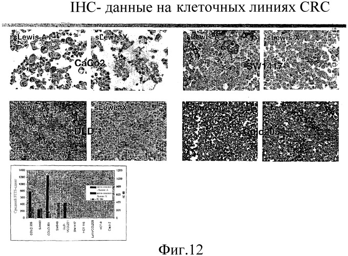 Анализы и способы, использующие биомаркеры (патент 2410438)