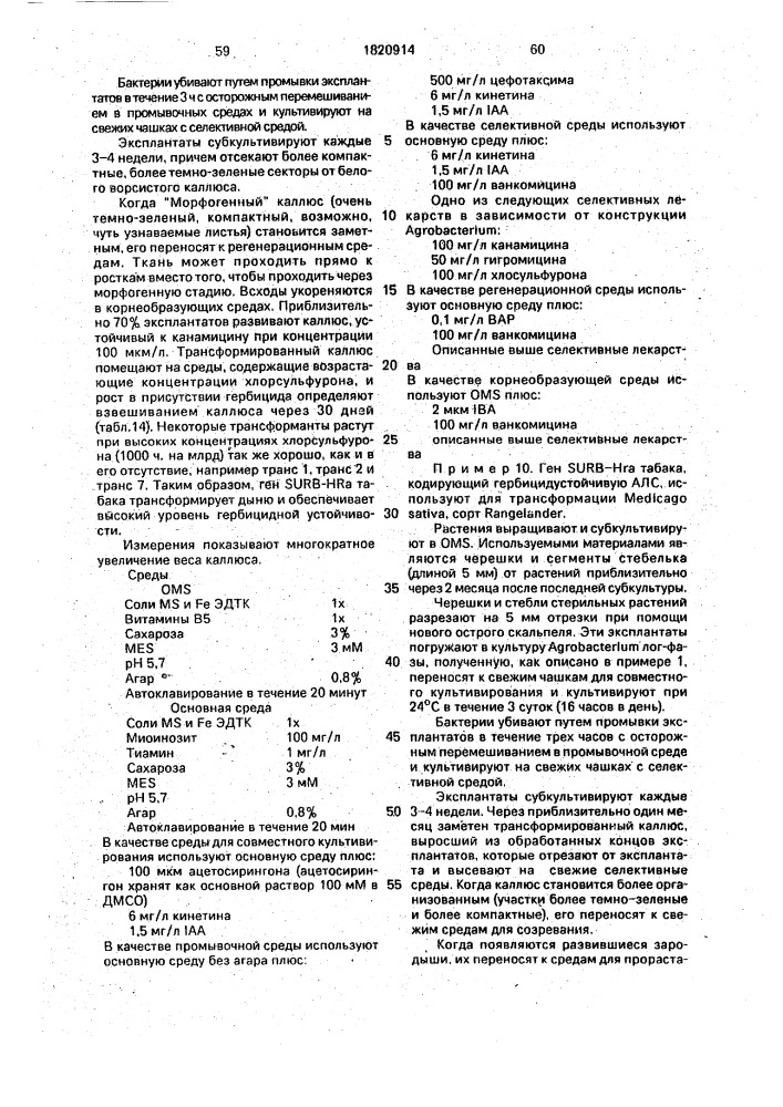 Способ получения двудольных растений, устойчивых к сульфонилмочевине (патент 1820914)