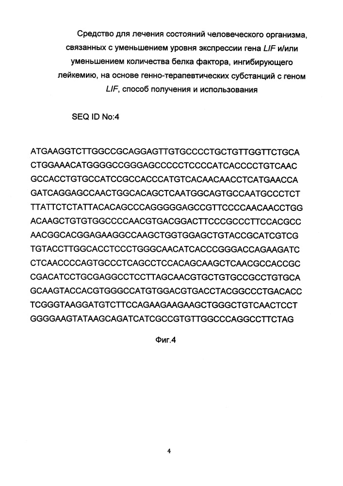 Средство для лечения состояний человеческого организма, связанных с уменьшением уровня экспрессии гена lif и/или уменьшением количества белка фактора, ингибирующего лейкемию, на основе генно-терапевтических субстанций с геном lif, способ получения и использования (патент 2653487)