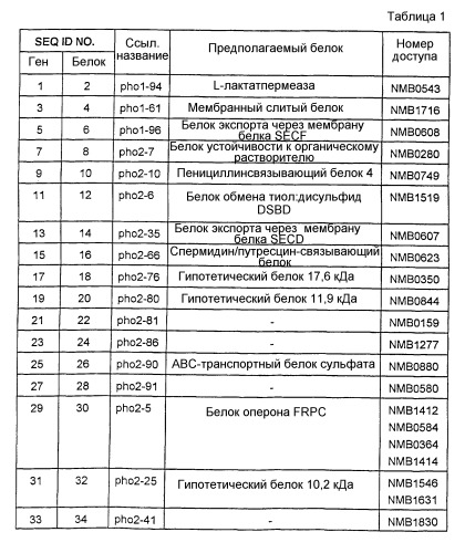 Пептид neisseria meningitidis для терапевтического и диагностического применения (патент 2313535)