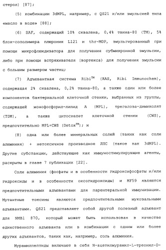 Химерные, гибридные и тандемные полипептиды менингококкового белка nmb1870 (патент 2431671)