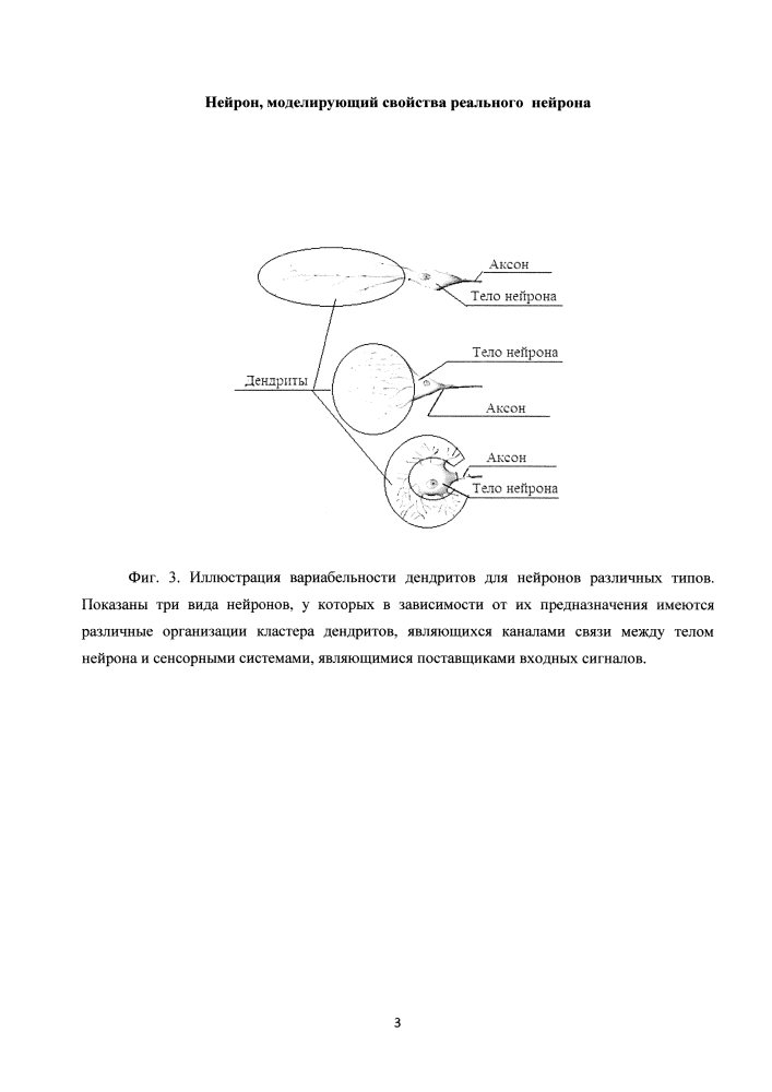 Нейрон, моделирующий свойства реального нейрона (патент 2597495)