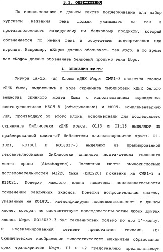 Поликлональное антитело против nogo, фармацевтическая композиция и применение антитела для изготовления лекарственного средства (патент 2432364)