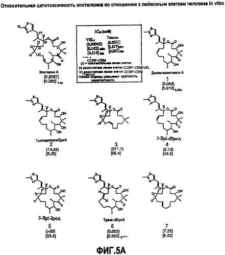 Синтез эпотилонов, их промежуточных продуктов, аналогов и их применения (патент 2462463)