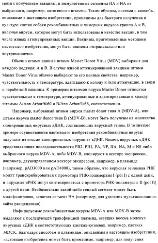 Способы и композиции для экспрессии антисмысловой вирусной рнк в клетках собаки (патент 2457250)