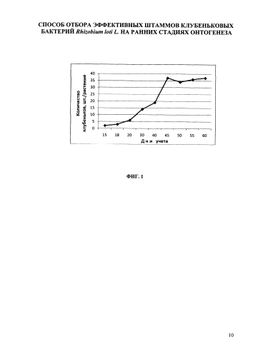 Способ отбора эффективных штаммов клубеньковых бактерий rhizobium loti l., способных к эффективному симбиозу с лядвенцем рогатым (патент 2592677)