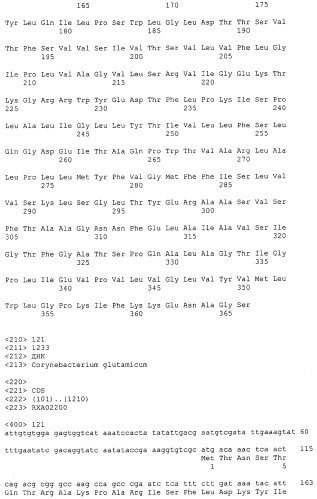 Гены corynebacterium glutamicum, кодирующие белки резистентности и толерантности к стрессам (патент 2303635)