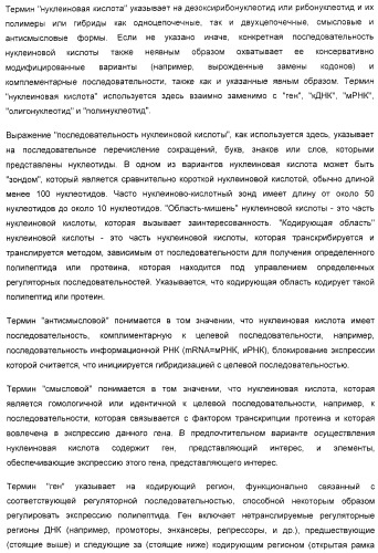 Улучшенная трансформация сои (патент 2389797)