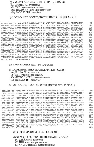 Гемопоэтический белок (варианты), последовательность днк, способ получения гемопоэтического белка, способ селективной экспансии кроветворных клеток, способ продуцирования дендритных клеток, способ стимуляции продуцирования кроветворных клеток у пациента, фармацевтическая композиция, способ лечения (патент 2245887)