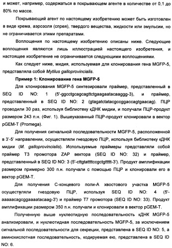 Биоадгезив мидии (патент 2349599)